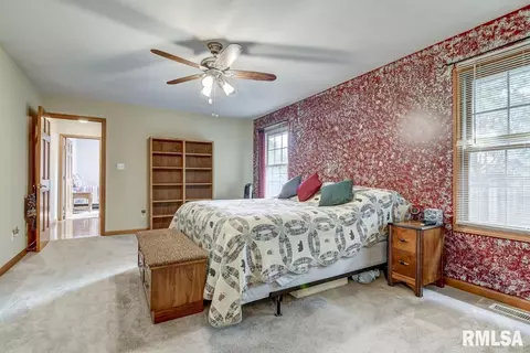 307 Dover Dr, Chatham, IL 62629 photo 17