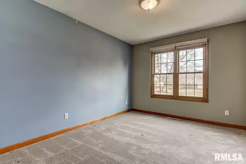 307 Dover Dr, Chatham, IL 62629 photo 25