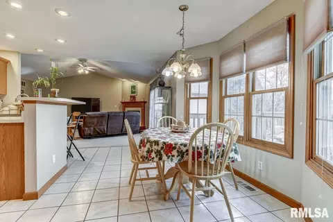 307 Dover Dr, Chatham, IL 62629 photo 8