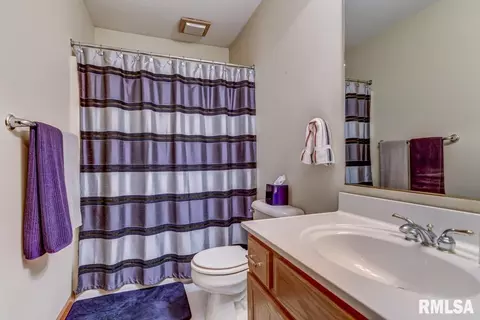 307 Dover Dr, Chatham, IL 62629 photo 30