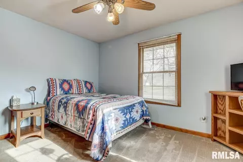 307 Dover Dr, Chatham, IL 62629 photo 22