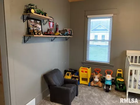 209 E Pine St, Modesto, IL 62667 photo 23