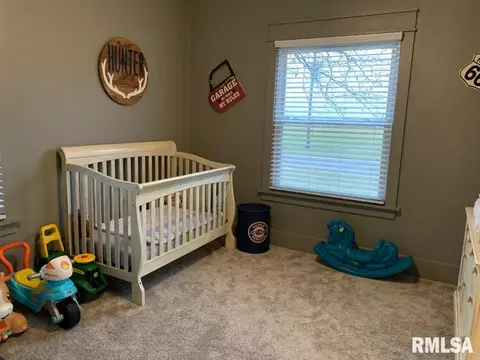 209 E Pine St, Modesto, IL 62667 photo 20