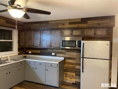 209 E Pine St, Modesto, IL 62667 photo 8