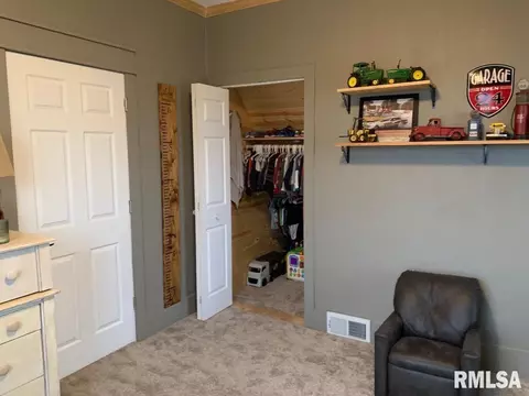 209 E Pine St, Modesto, IL 62667 photo 22