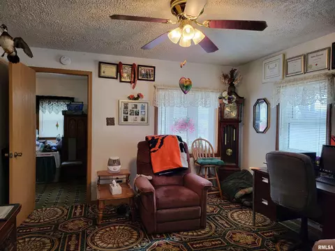 813 Forrest Ave, Springfield, IL 62702 photo 15