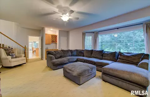 2900 Wildcat Ct, Springfield, IL 62711 photo 11