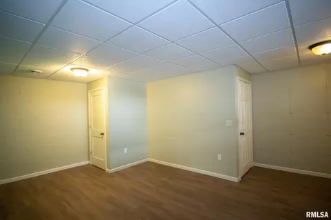 185 Wing Ln, Avon, IL 61415 photo 26