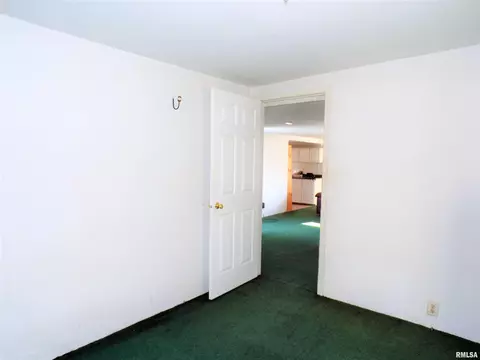 238 E Burch St, Wataga, IL 61488 photo 21