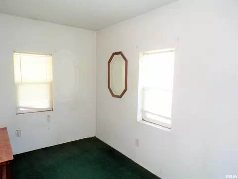 238 E Burch St, Wataga, IL 61488 photo 23