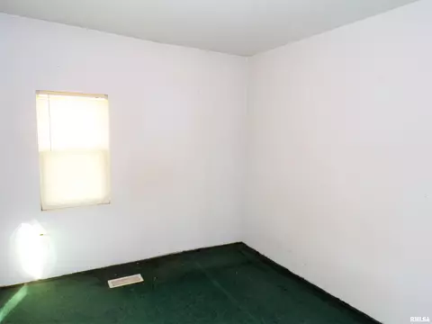 238 E Burch St, Wataga, IL 61488 photo 20