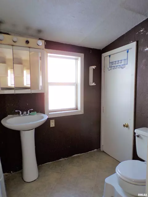 238 E Burch St, Wataga, IL 61488 photo 25