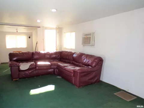 238 E Burch St, Wataga, IL 61488 photo 14