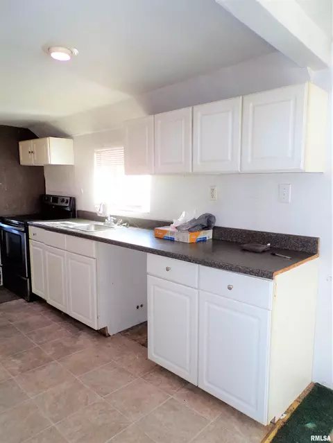 238 E Burch St, Wataga, IL 61488 photo 17