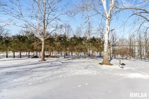 89 Greencastle Cir, Springfield, IL 62712 photo 27