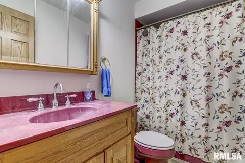355 E Raylots St, Spaulding, IL 62561 photo 28