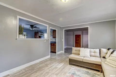 1429 W Governor St, Springfield, IL 62704 photo 5