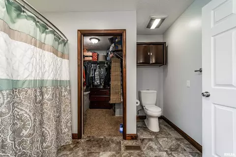 110 S Elm St, Mclean, IL 61754 photo 20