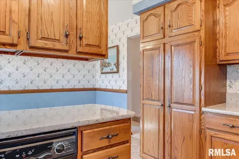 38 Horseshoe Dr, Springfield, IL 62702 photo 13