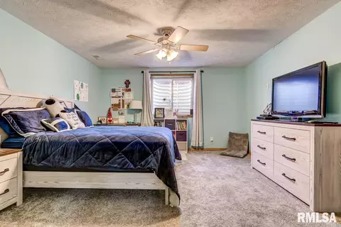 23402 Covered Bridge Rd, Athens, IL 62613 photo 33