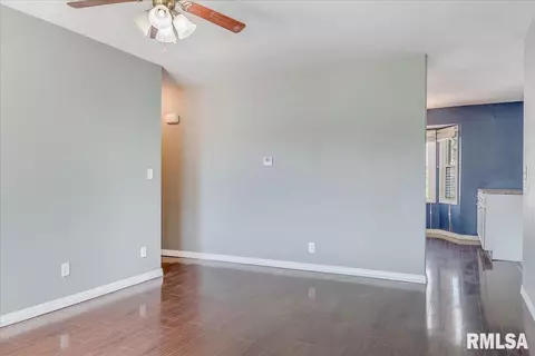 1007 E Washington St, Riverton, IL 62561 photo 4