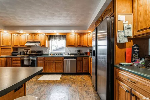 5344 Patterson Bay Rd, Bath, IL 62617 photo 14