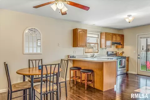 236 W Plummer Blvd, Chatham, IL 62629 photo 9