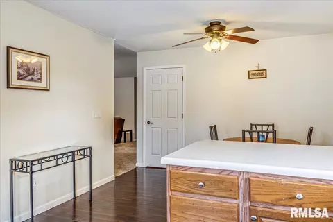 236 W Plummer Blvd, Chatham, IL 62629 photo 15