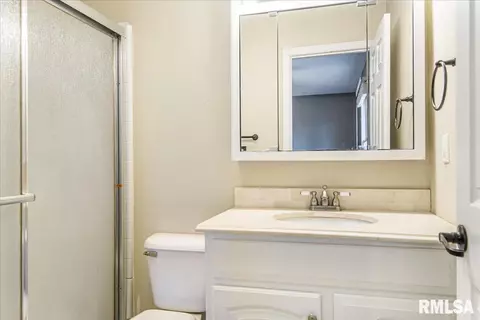 236 W Plummer Blvd, Chatham, IL 62629 photo 21