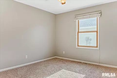 236 W Plummer Blvd, Chatham, IL 62629 photo 22