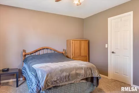 236 W Plummer Blvd, Chatham, IL 62629 photo 19