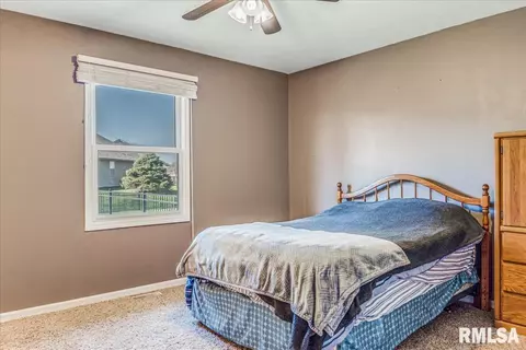 236 W Plummer Blvd, Chatham, IL 62629 photo 18