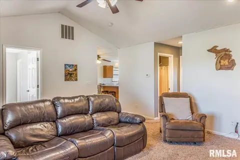 236 W Plummer Blvd, Chatham, IL 62629 photo 8