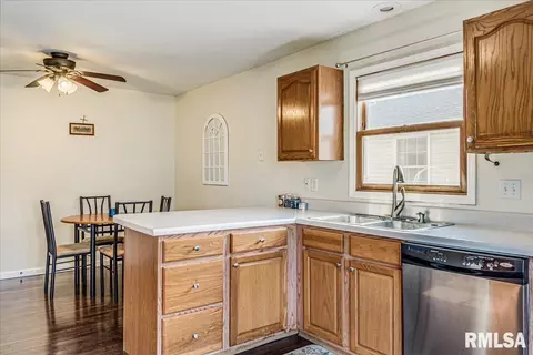 236 W Plummer Blvd, Chatham, IL 62629 photo 13