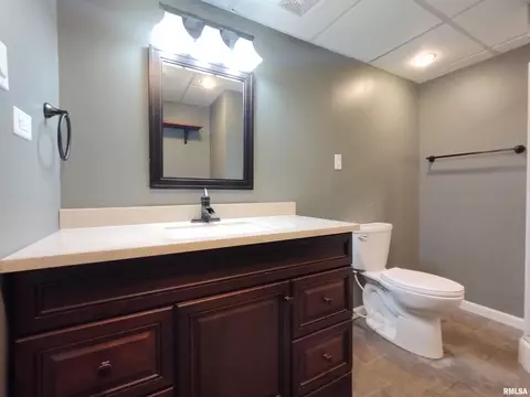 648 Hackberry Rd, Chatham, IL 62629 photo 32