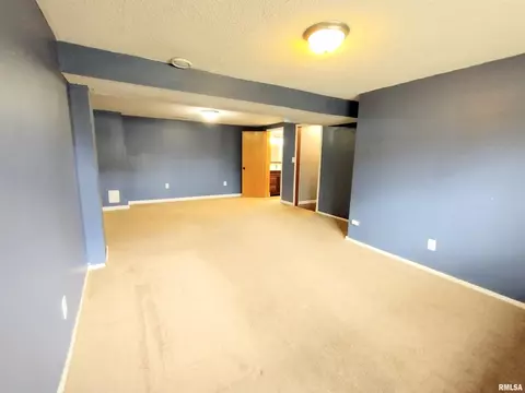 648 Hackberry Rd, Chatham, IL 62629 photo 27