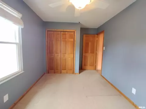 648 Hackberry Rd, Chatham, IL 62629 photo 23