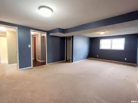 648 Hackberry Rd, Chatham, IL 62629 photo 29