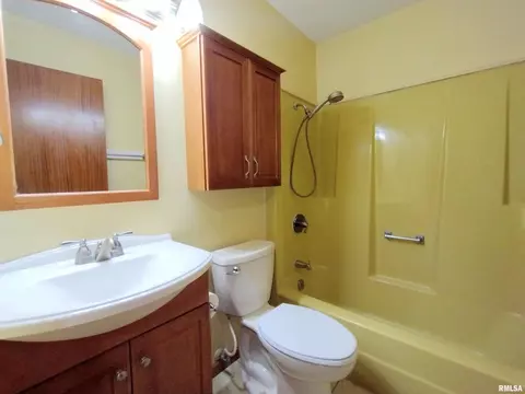 648 Hackberry Rd, Chatham, IL 62629 photo 24