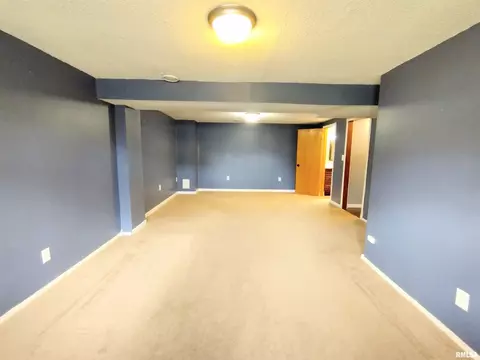 648 Hackberry Rd, Chatham, IL 62629 photo 26