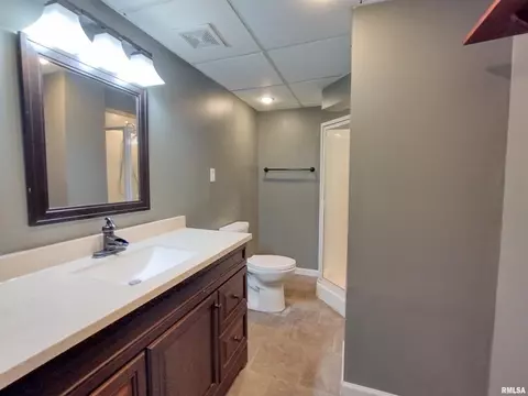 648 Hackberry Rd, Chatham, IL 62629 photo 31