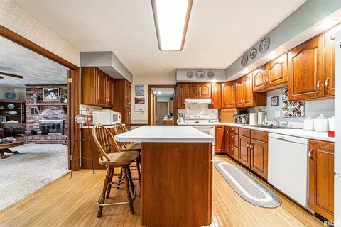 1102 N Topper Dr, Mount Pulaski, IL 62548 photo 15