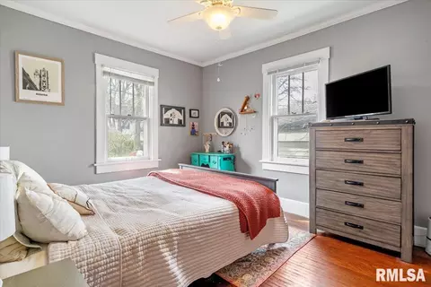 513 S Park Ave, Springfield, IL 62704 photo 11