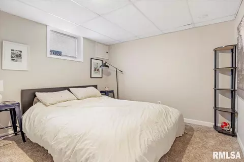 513 S Park Ave, Springfield, IL 62704 photo 20