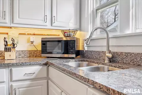 513 S Park Ave, Springfield, IL 62704 photo 28