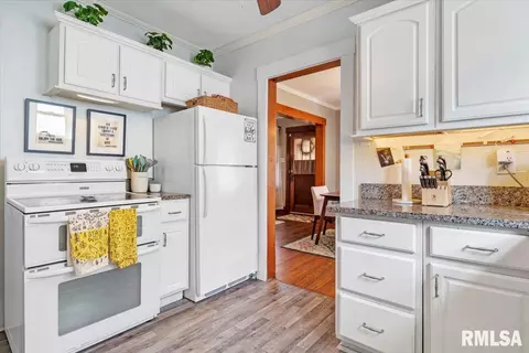 513 S Park Ave, Springfield, IL 62704 photo 9