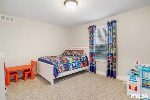 1420 Lake Pointe Ct, Springfield, IL 62712 photo 30