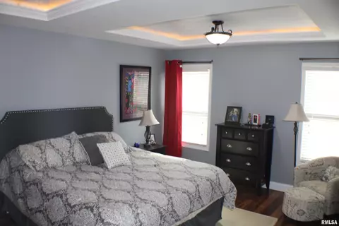 413 S Park Ave, Chatham, IL 62629 photo 6