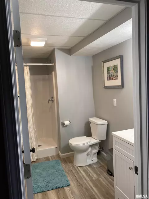 413 S Park Ave, Chatham, IL 62629 photo 17