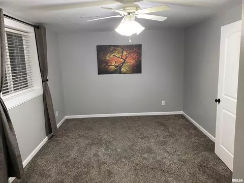 413 S Park Ave, Chatham, IL 62629 photo 18